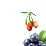 直销蓝莓枸杞酵素冲剂oem