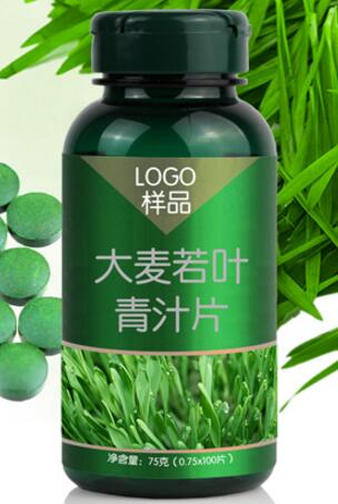 大麦若叶青汁粉 小麦若叶青汁粉 oem贴