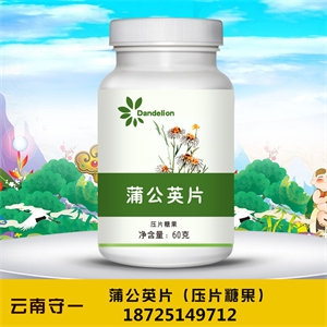 中药材蒲公英片压片糖果OEM 蒲公英片厂