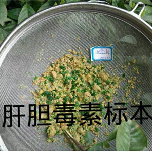 肝胆肝胆排毒加工生产贴牌批发