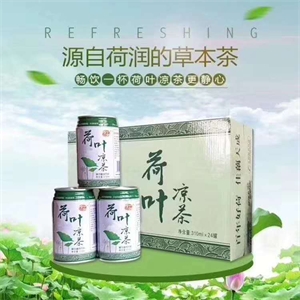康美药业 提神维生素功能饮料凉茶咖啡代加