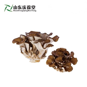 异形片剂代加工专业生产厂家济宁庆葆堂