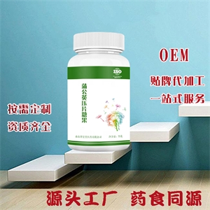 蒲公英压片糖果 OEM贴牌 山东厂家定制