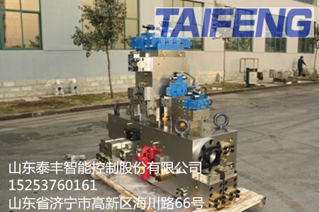 泰丰插装阀B46.3-4B-JH100T