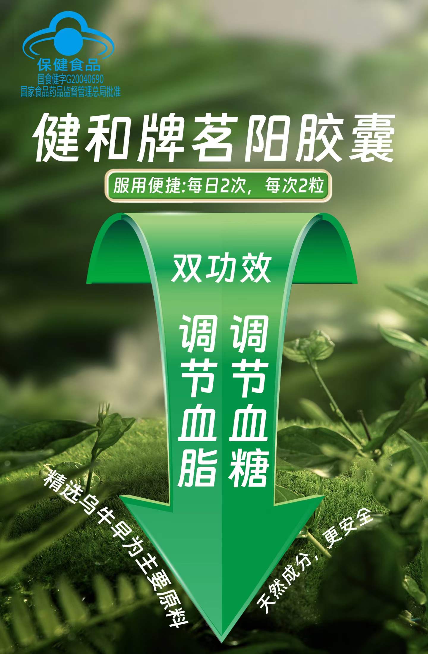 健和牌茗阳胶囊